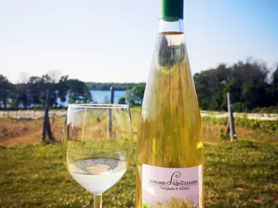 Wine bottle and glass in front of a vineyard 